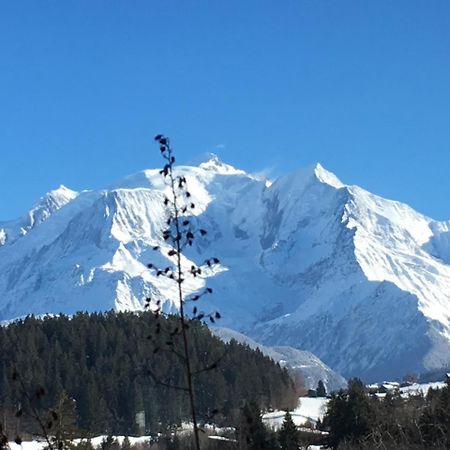 Les 4 Vallees Hotel Albertville Luaran gambar